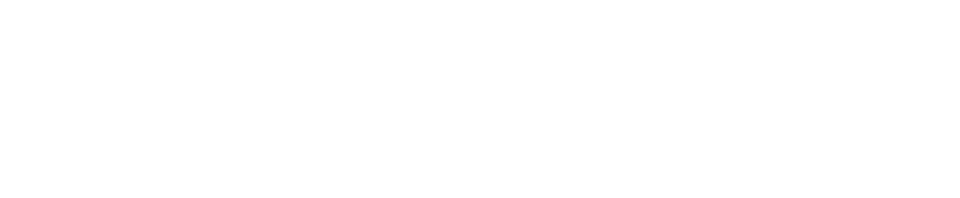 Diplomatura en Estrategia Ejecutiva | UNC